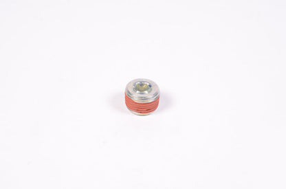 Radium Engineering 3/8in NPT Plug