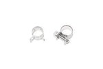 Radium EFI and Spring Hose Clamps Universal