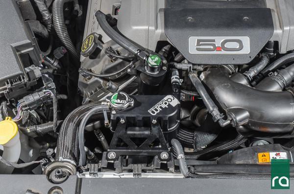 Radium Mustang tank kit, sold by Tuned By Shawn