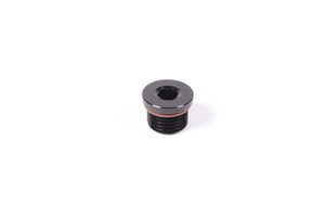 Radium Engineering 4AN ORB plug 14-0348 at Tuned By Shawn