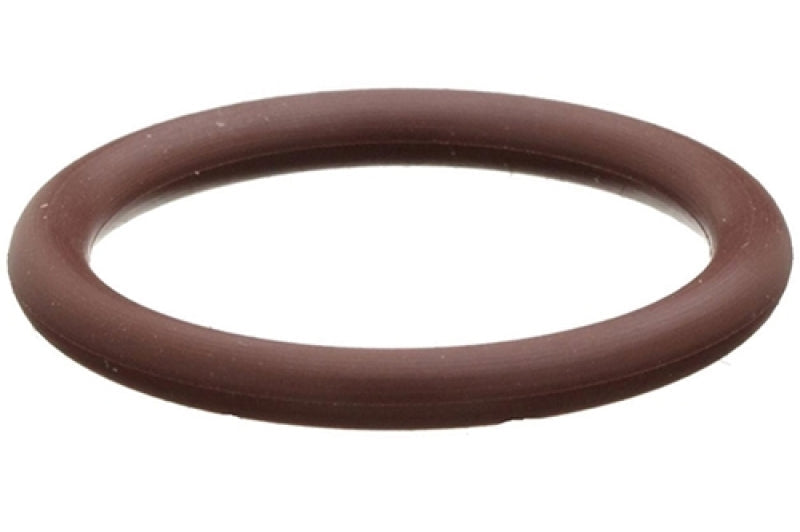 Radium Engineering 8AN Viton O-ring 5 pack 18-0043-08 at Tuned By Shawn