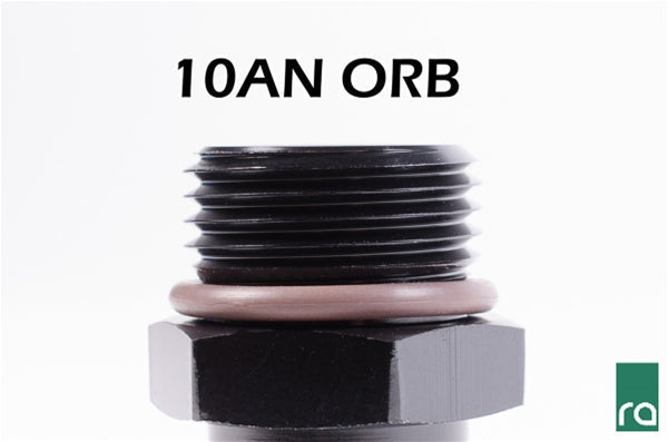 Radium Engineering 10AN ORB swivel banjo to 6AN male fitting 20-1000-1006 at Tuned By Shawn